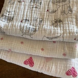 Aden and Anais blankets